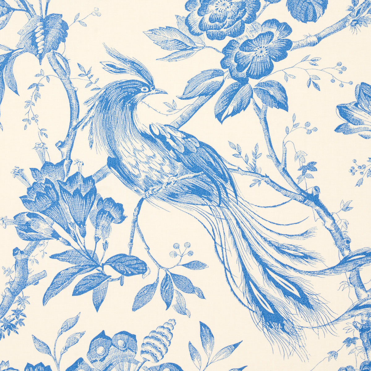 BIRDS OF PARADISE | BLUE