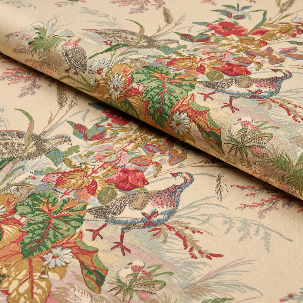 QUAIL MEADOW | Summer