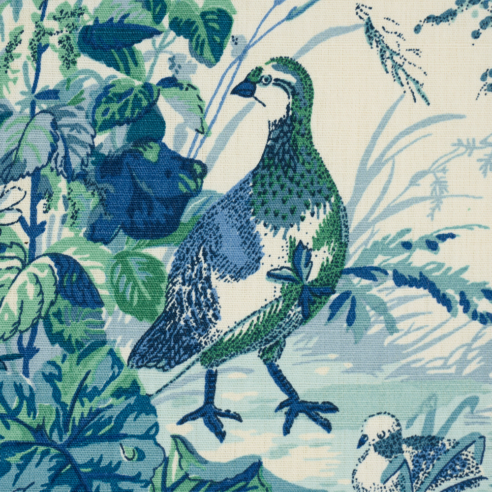 QUAIL MEADOW | Peacock