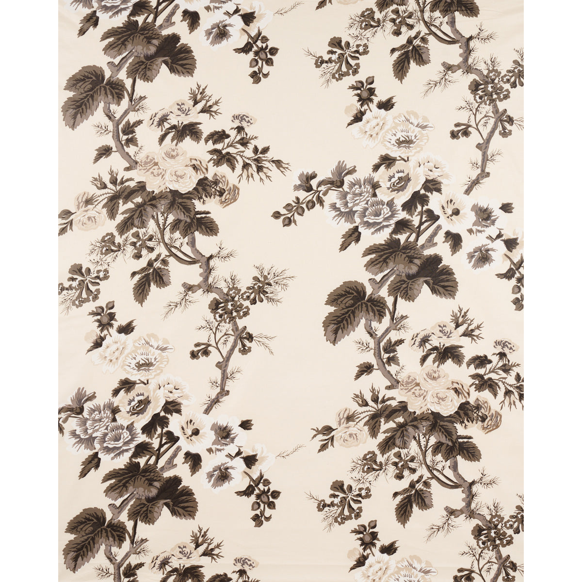 PYNE HOLLYHOCK | Charcoal