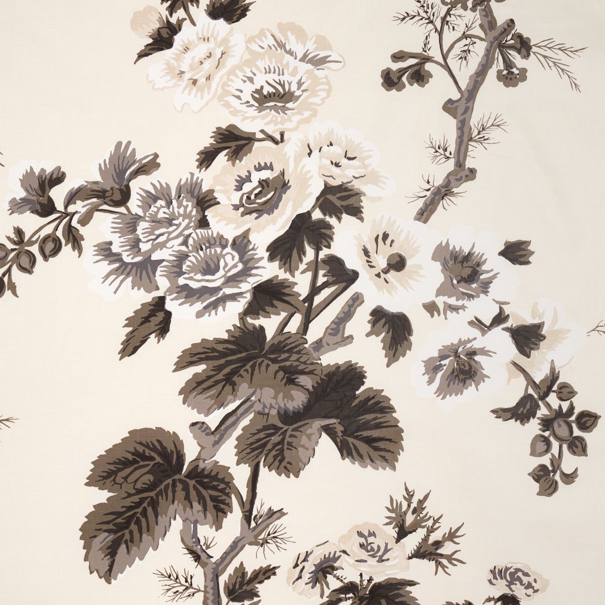 PYNE HOLLYHOCK | Charcoal