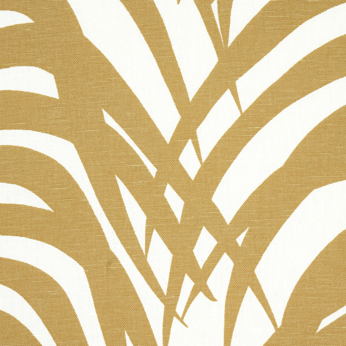 ZEBRA PALM | Khaki