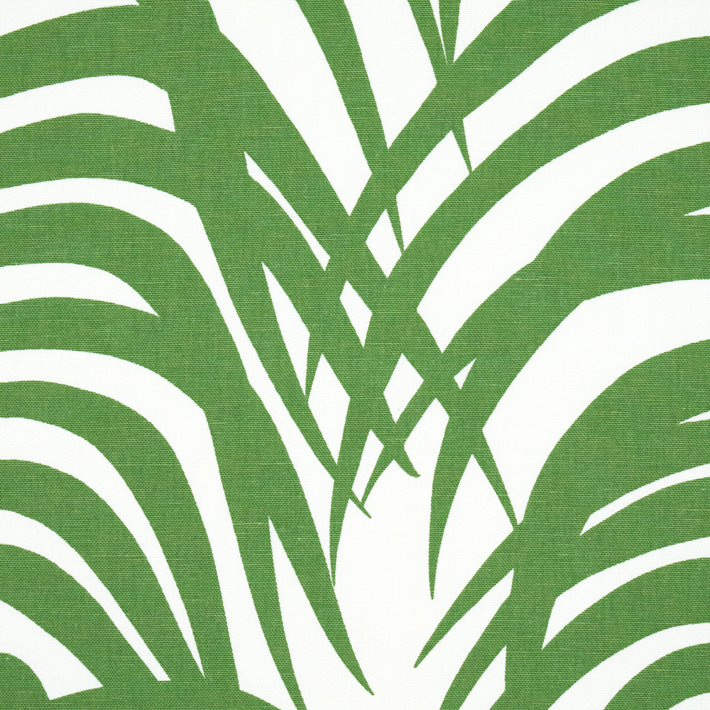 ZEBRA PALM | Jungle