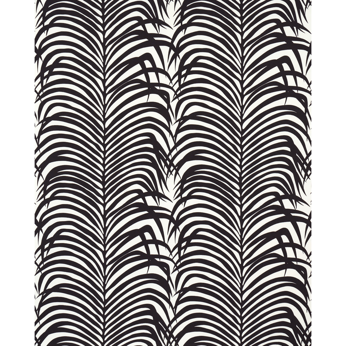 ZEBRA PALM | Ebony