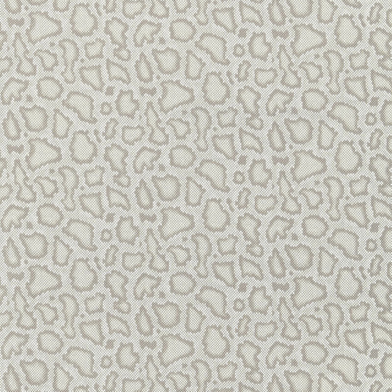 PARK AVENUE PYTHON | Dove