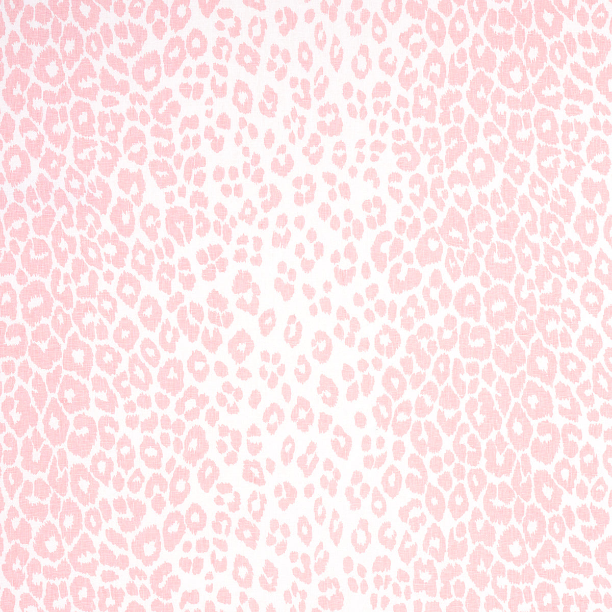 ICONIC LEOPARD | Pink