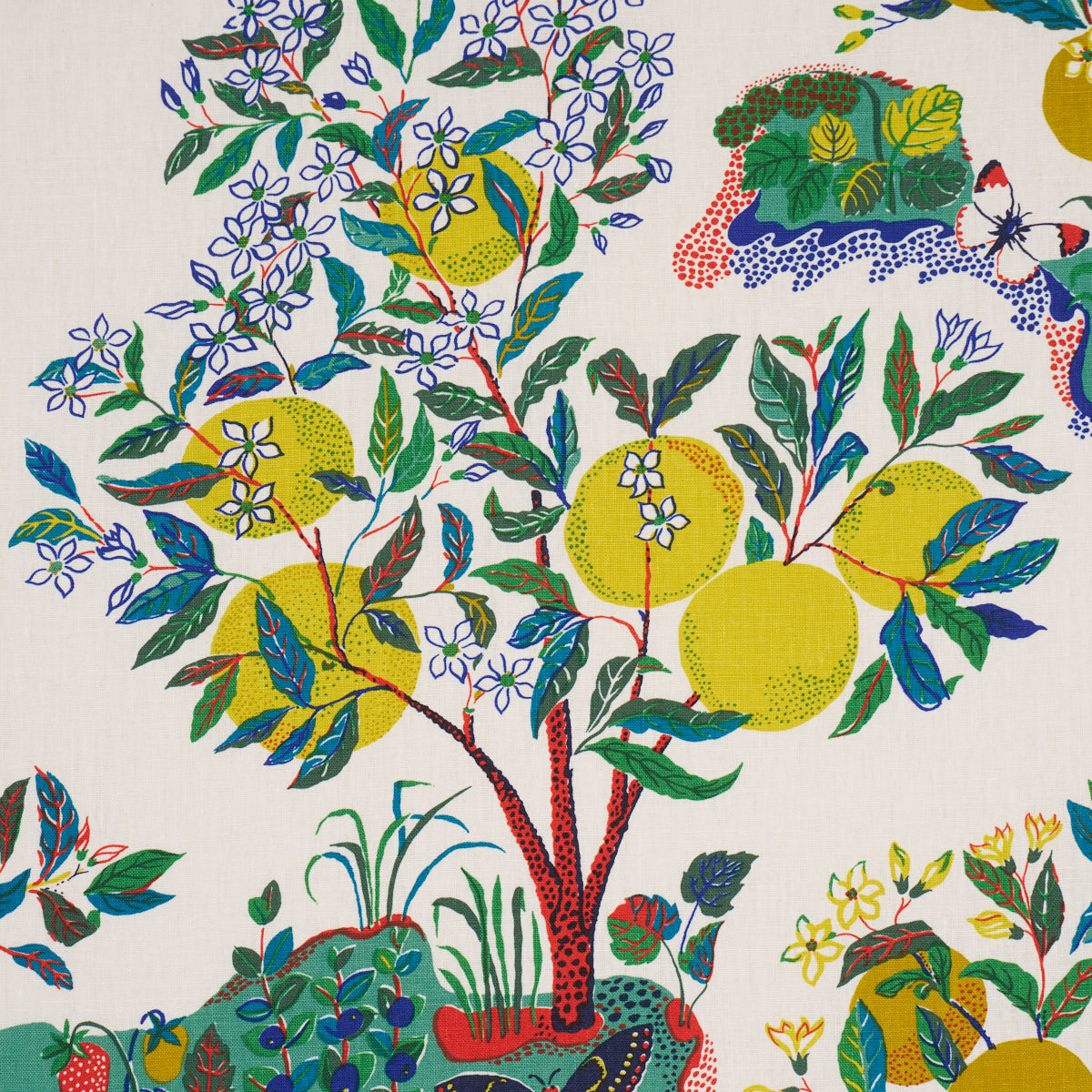 CITRUS GARDEN | Primary – Schumacher EU