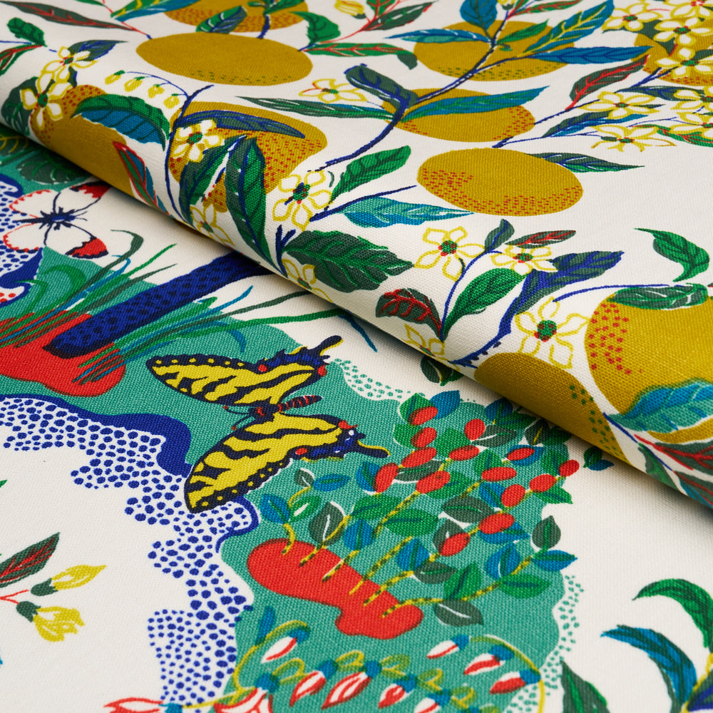 CITRUS GARDEN | Primary