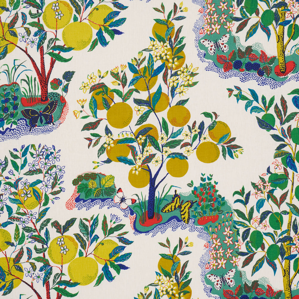 CITRUS GARDEN | Primary