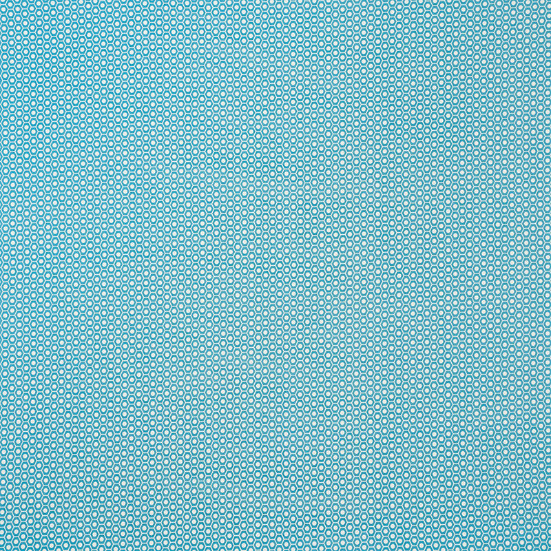 QUEEN B II INDOOR/OUTDOOR | Aqua