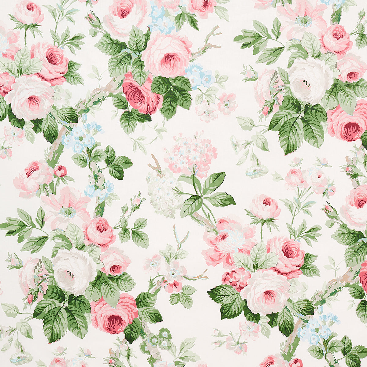 NANCY FLORAL | PETAL