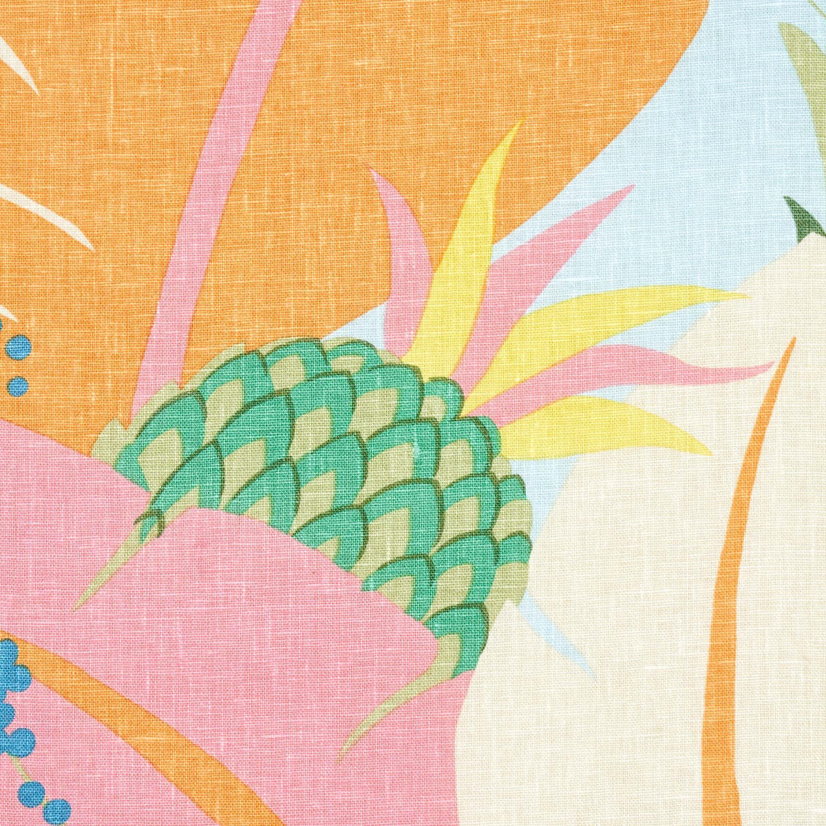 ANANAS | Tropical