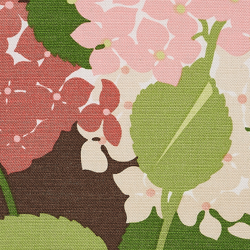 HYDRANGEA | Pink