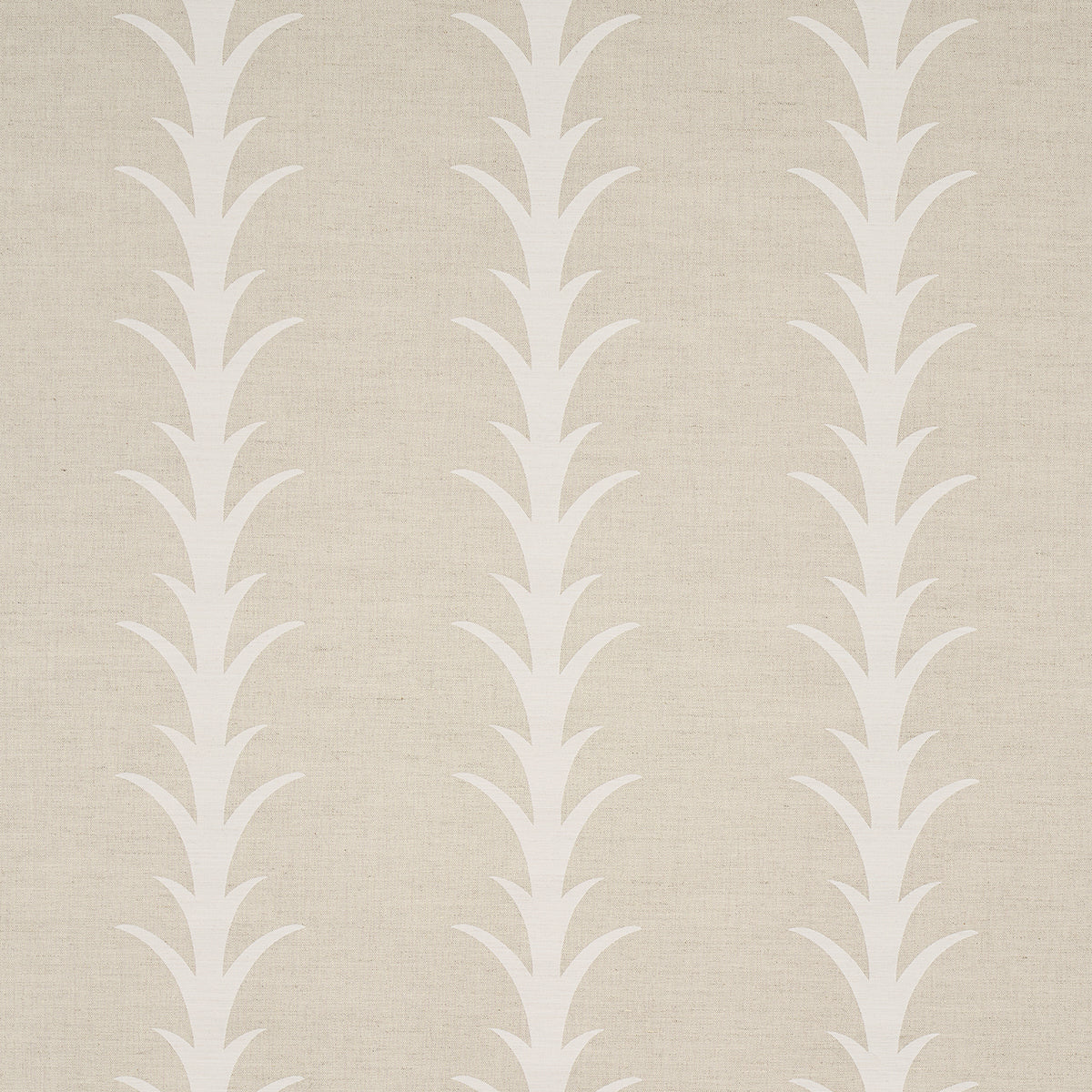 ACANTHUS STRIPE | Natural