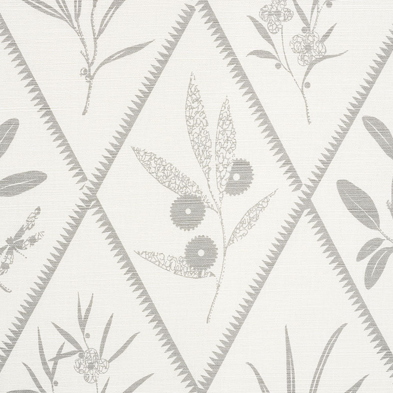 Endimione | Grey