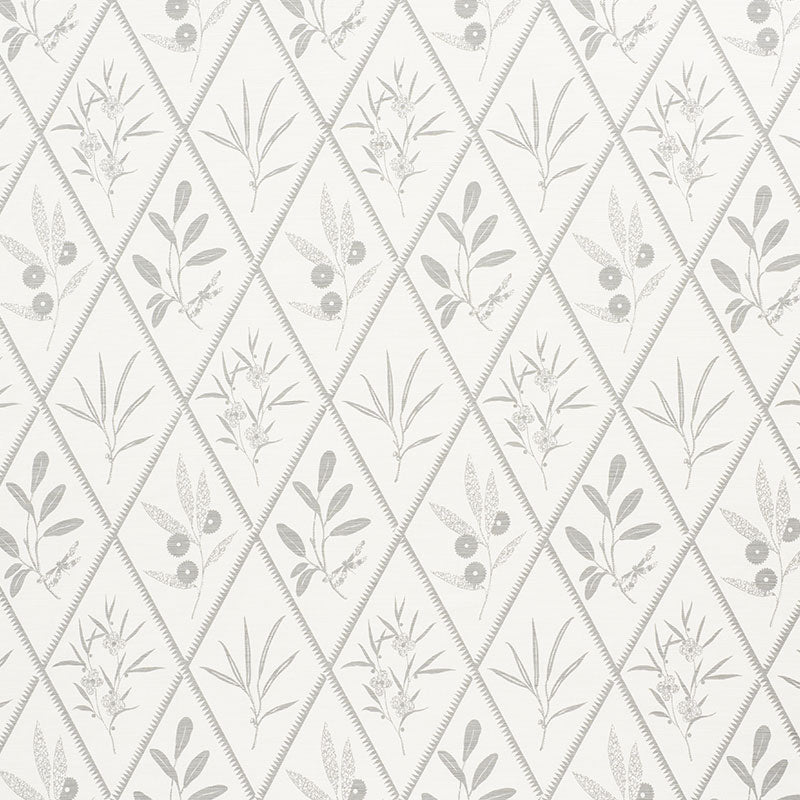 Endimione | Grey