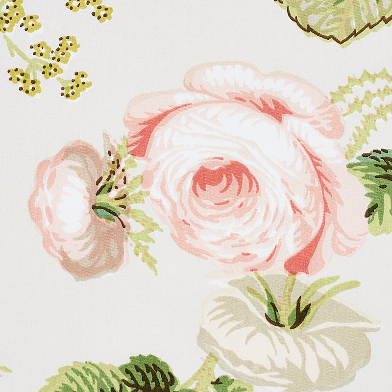 SALISBURY CHINTZ | Blush