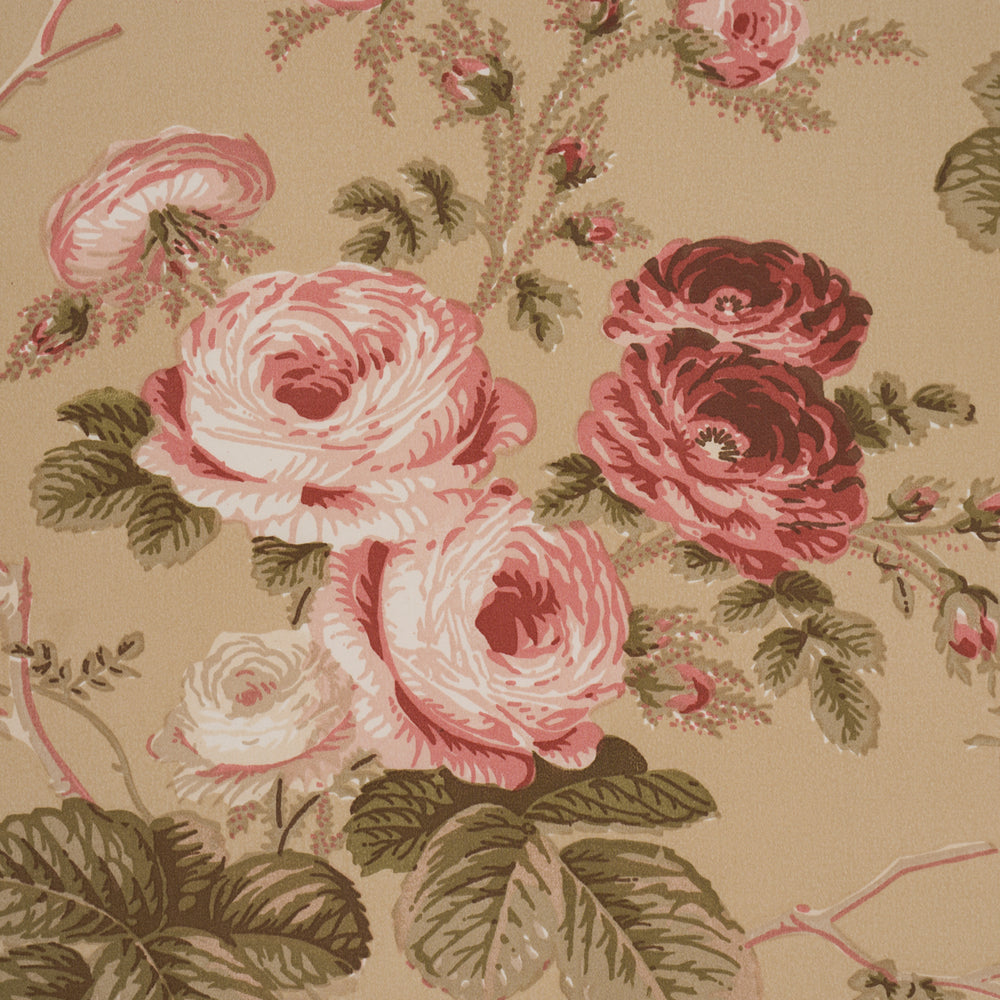 SALISBURY CHINTZ | Tobacco