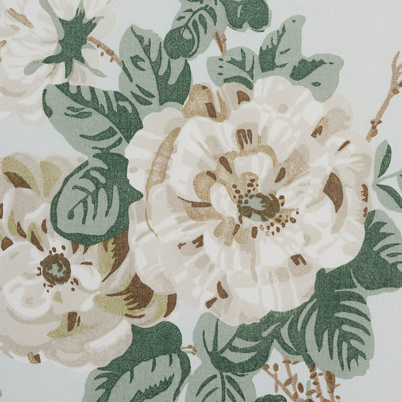 BETTY CHINTZ | CELADON