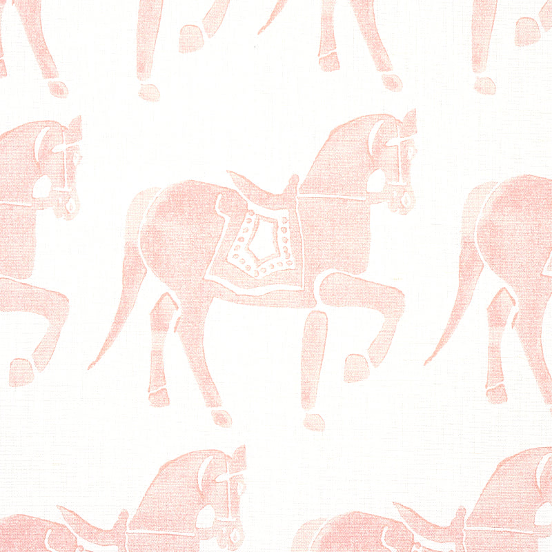 Marwari Horse | Pink