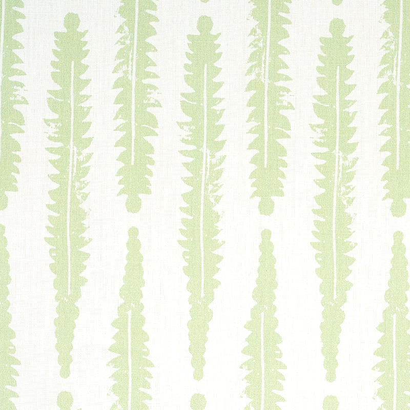 FERN | Sage