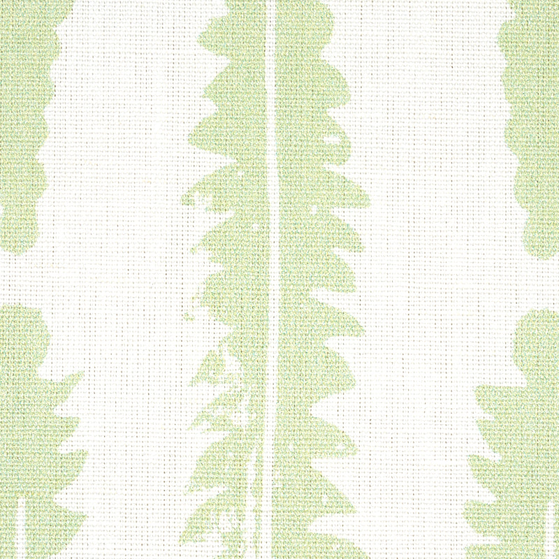 FERN | Sage