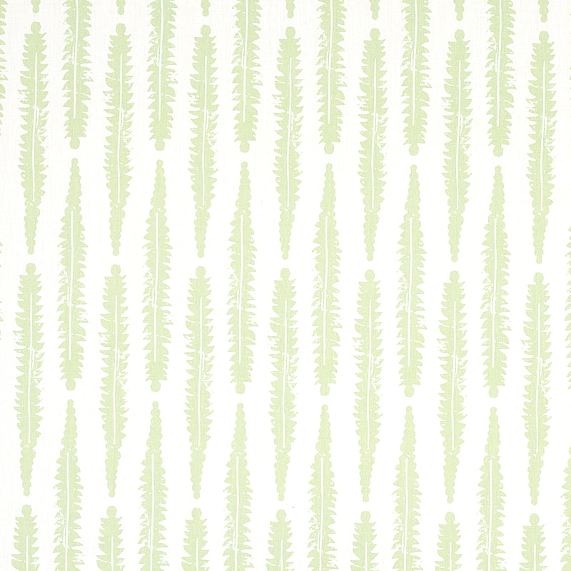 FERN | Sage