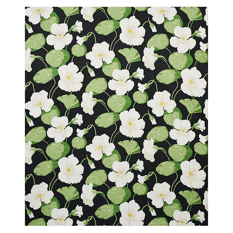 Nasturtium | Noir