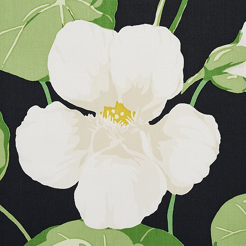 Nasturtium | Noir