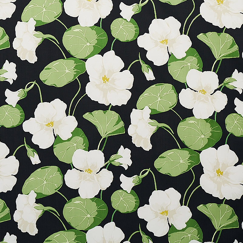 Nasturtium | Noir