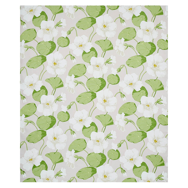 Nasturtium | Sky