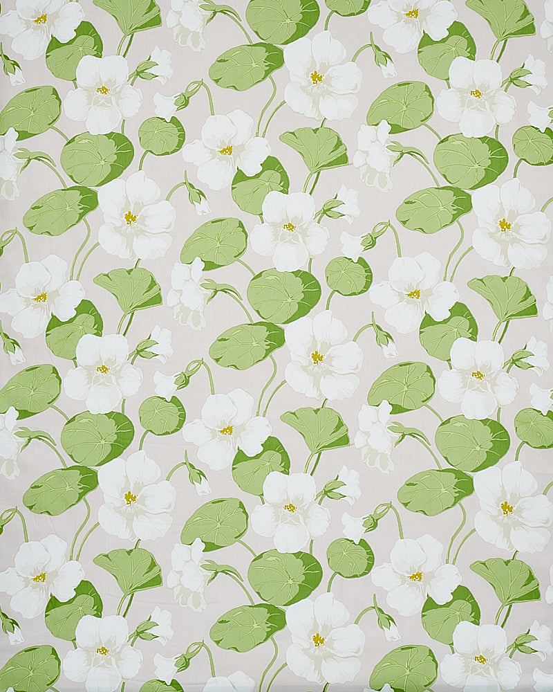 Nasturtium | Stone