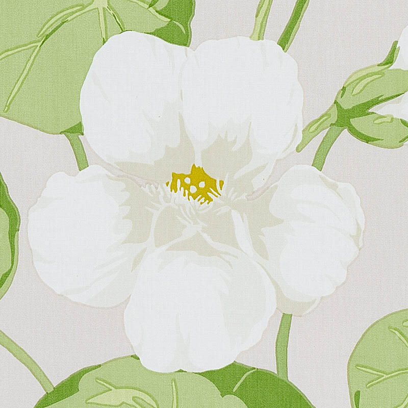 Nasturtium | Stone