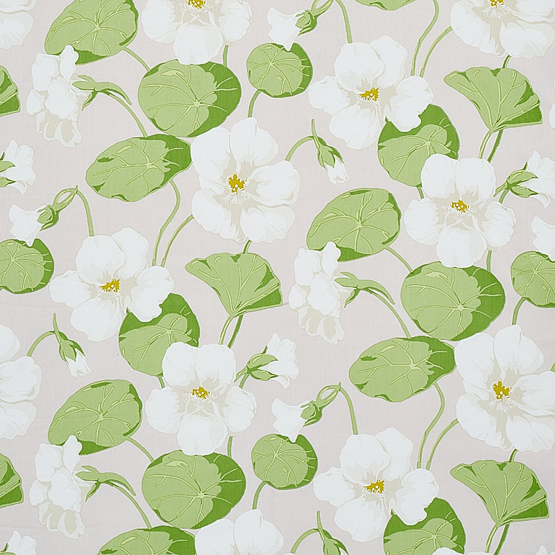 Nasturtium | Stone