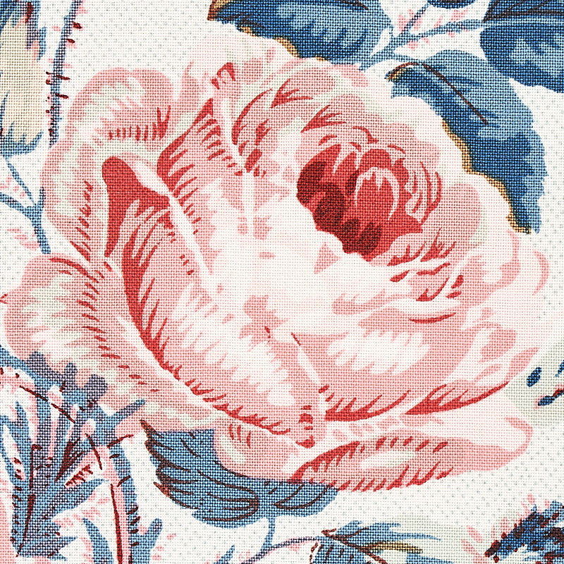 LOUDON ROSE | Rose & Blue