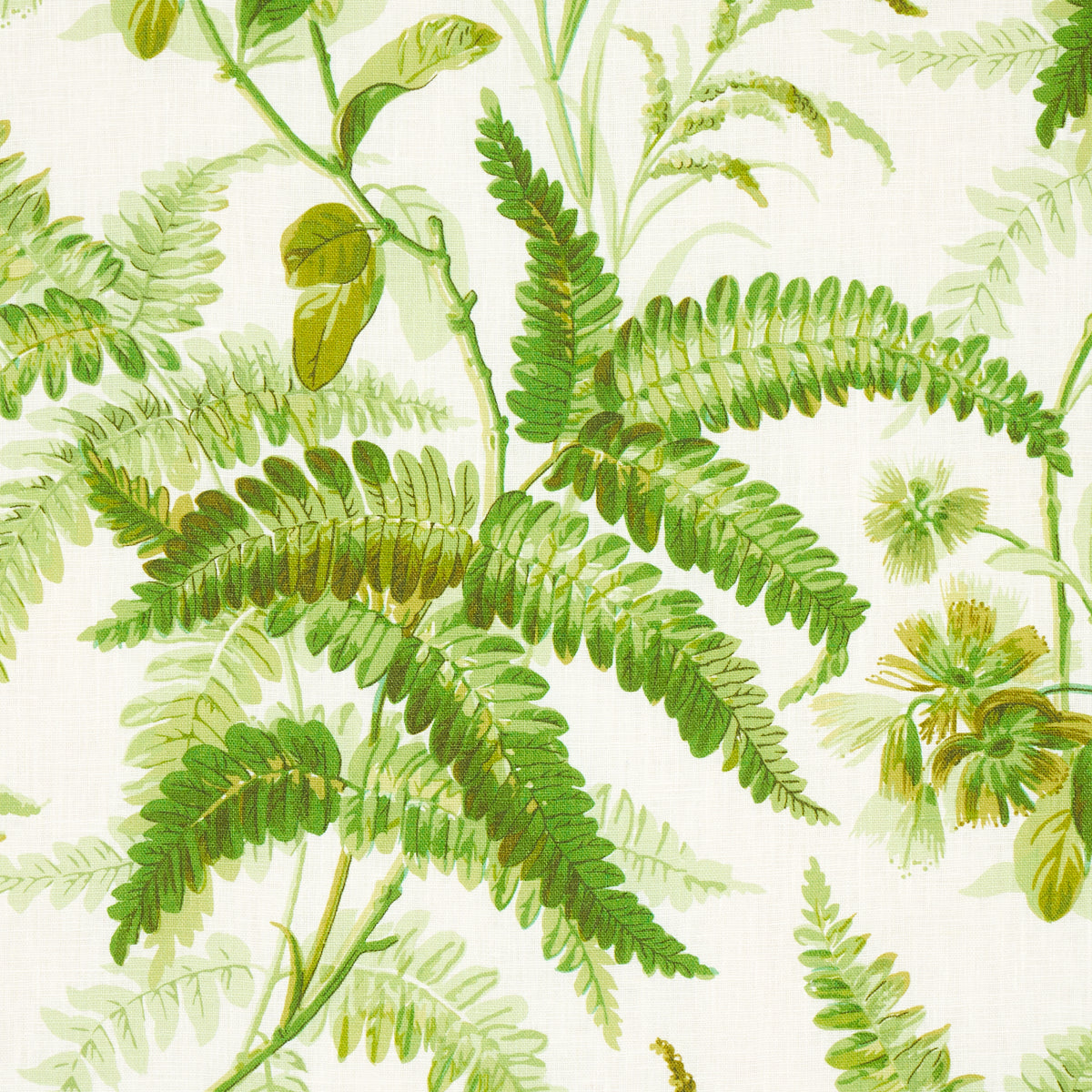 MYERS FERN LINEN | Tropical