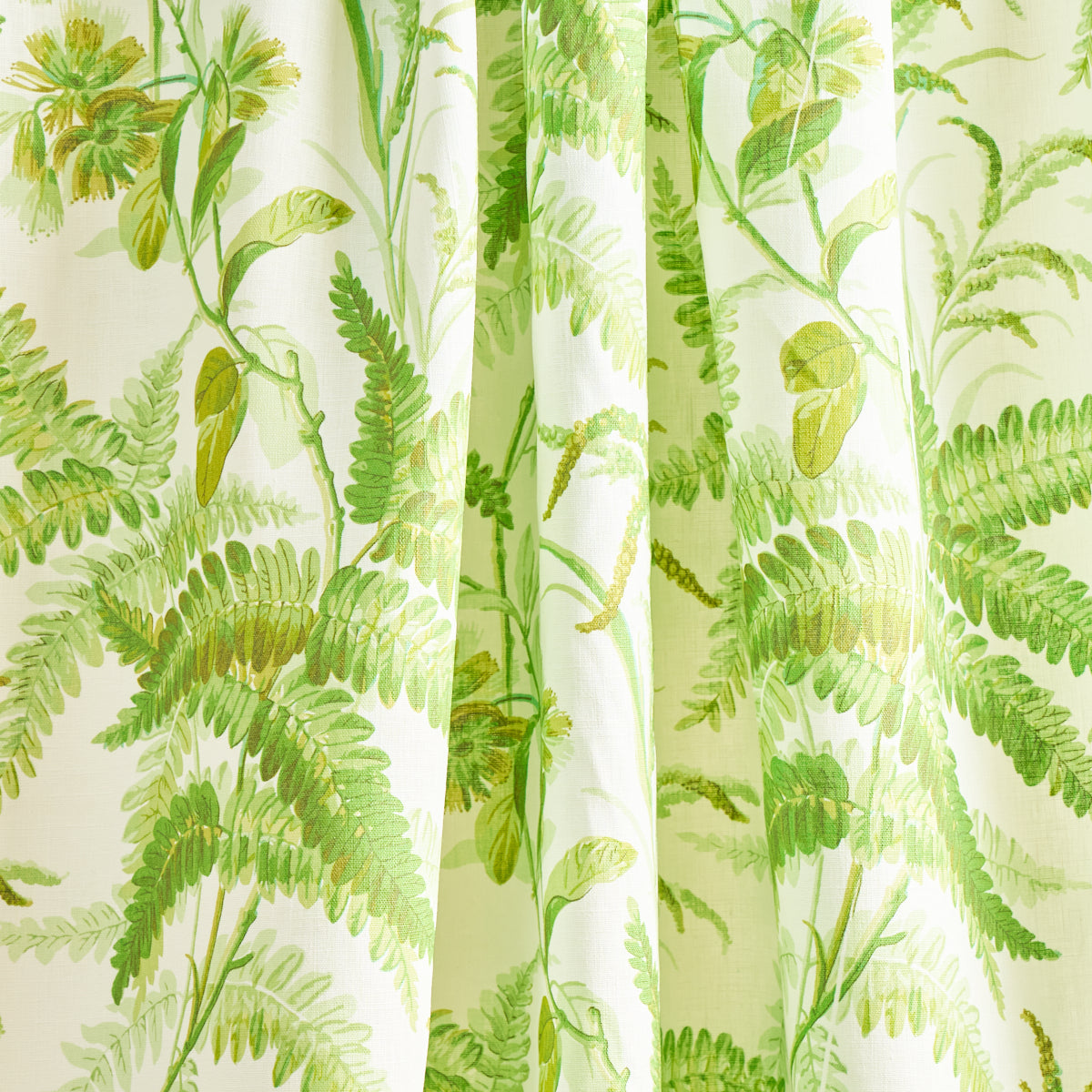 MYERS FERN LINEN | Tropical