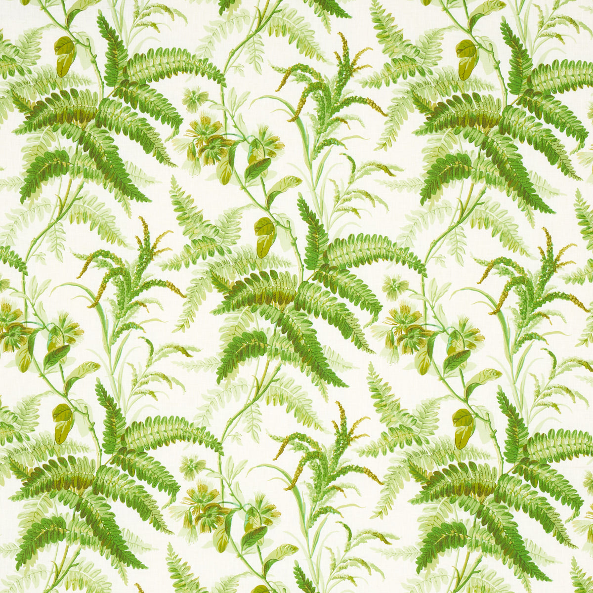 MYERS FERN LINEN | Tropical