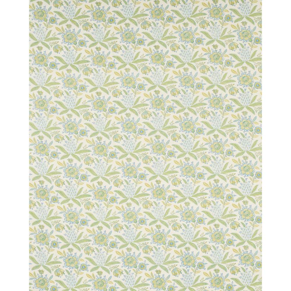 Lafayette Botanical | Moss