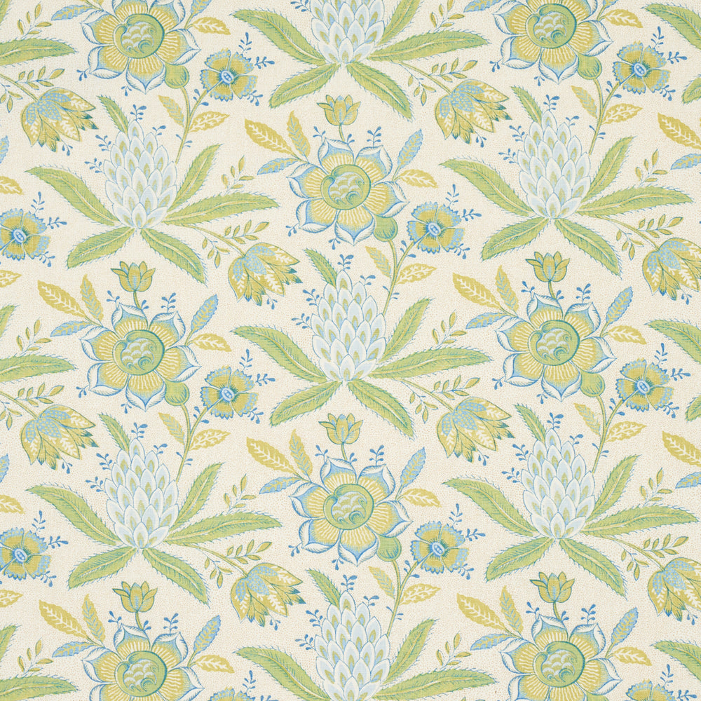 Lafayette Botanical | Moss