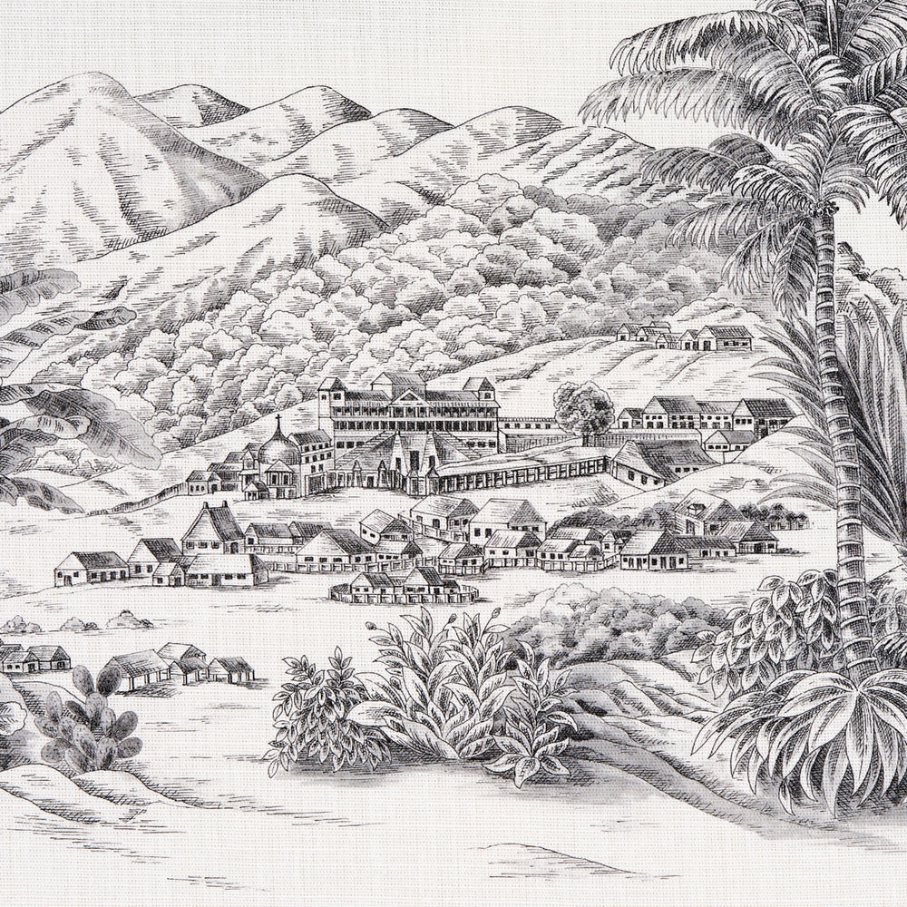 TOUSSAINT TOILE | Black