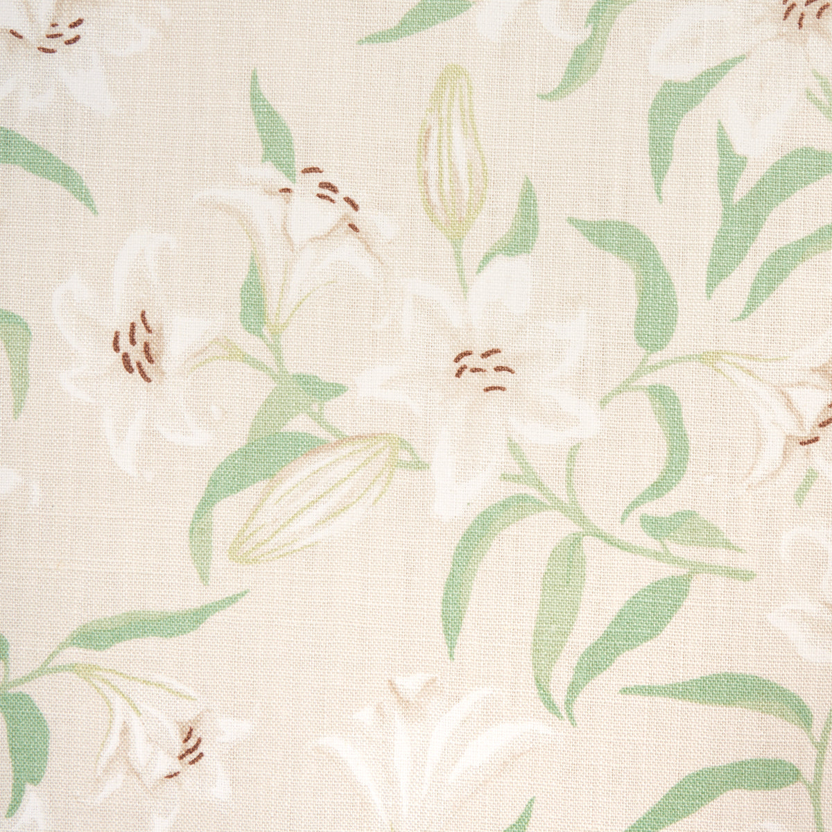 SCATTERED LILIES | CREAM