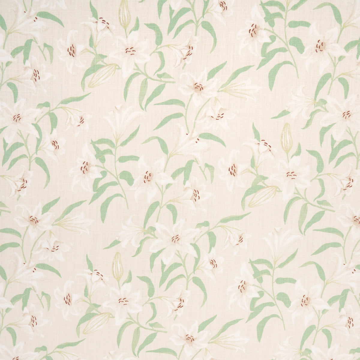 SCATTERED LILIES | Cream