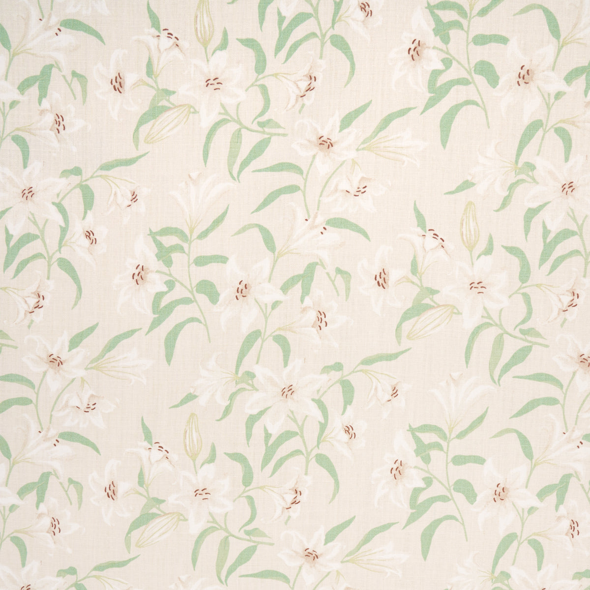SCATTERED LILIES | CREAM