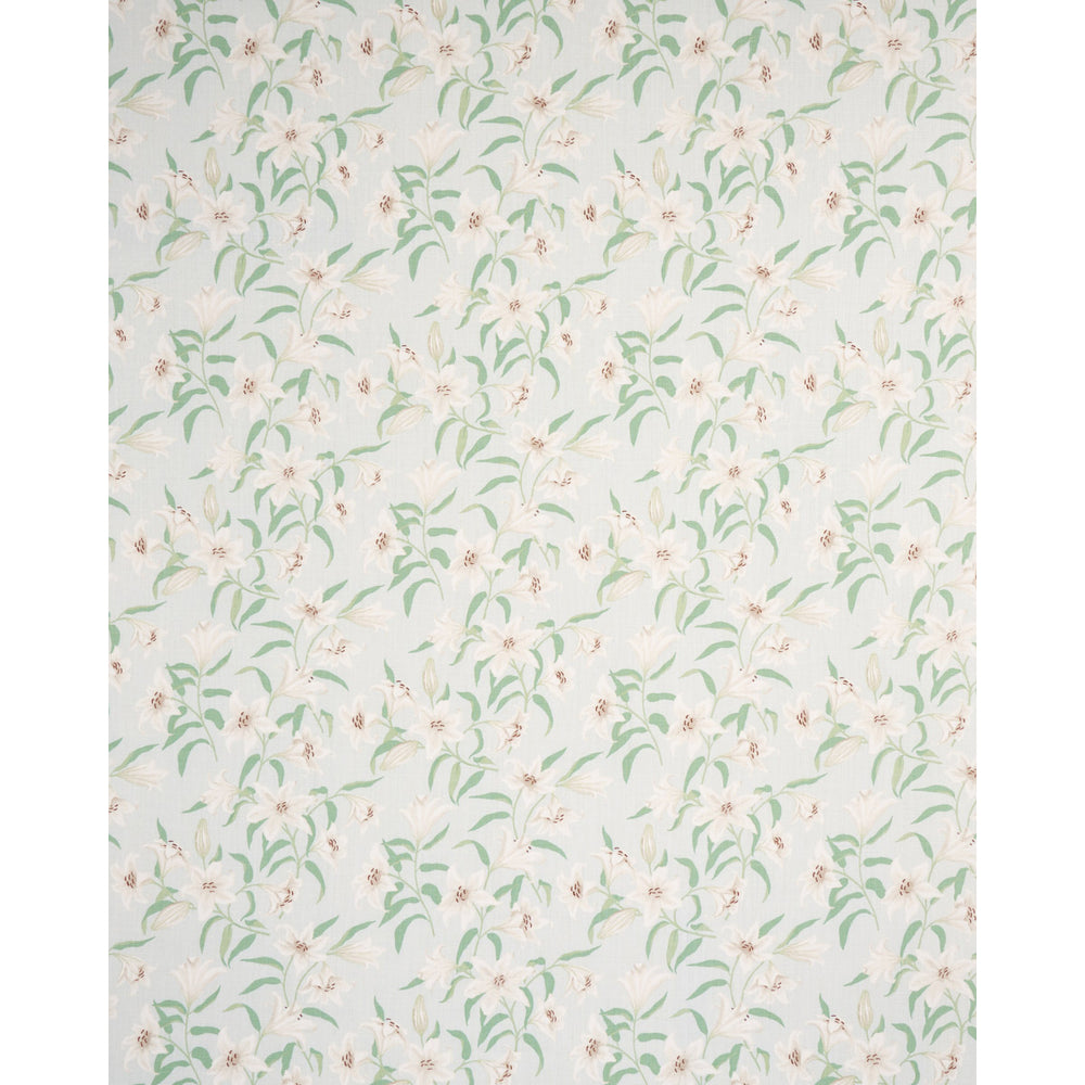 SCATTERED LILIES | Sky