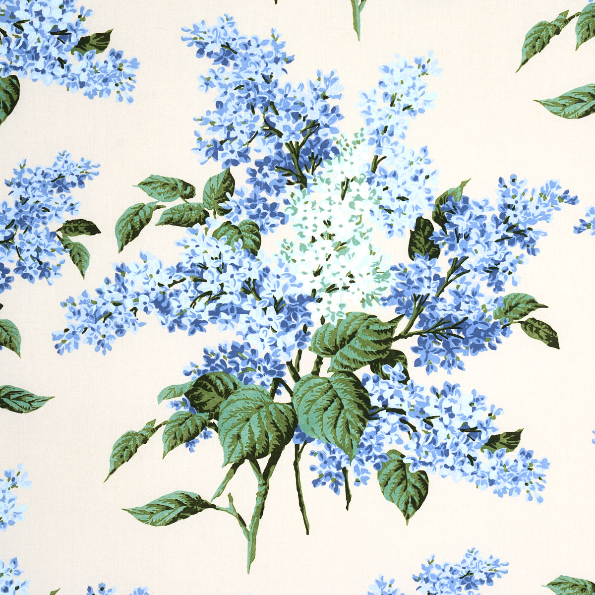 PROUST'S LILACS | Blue