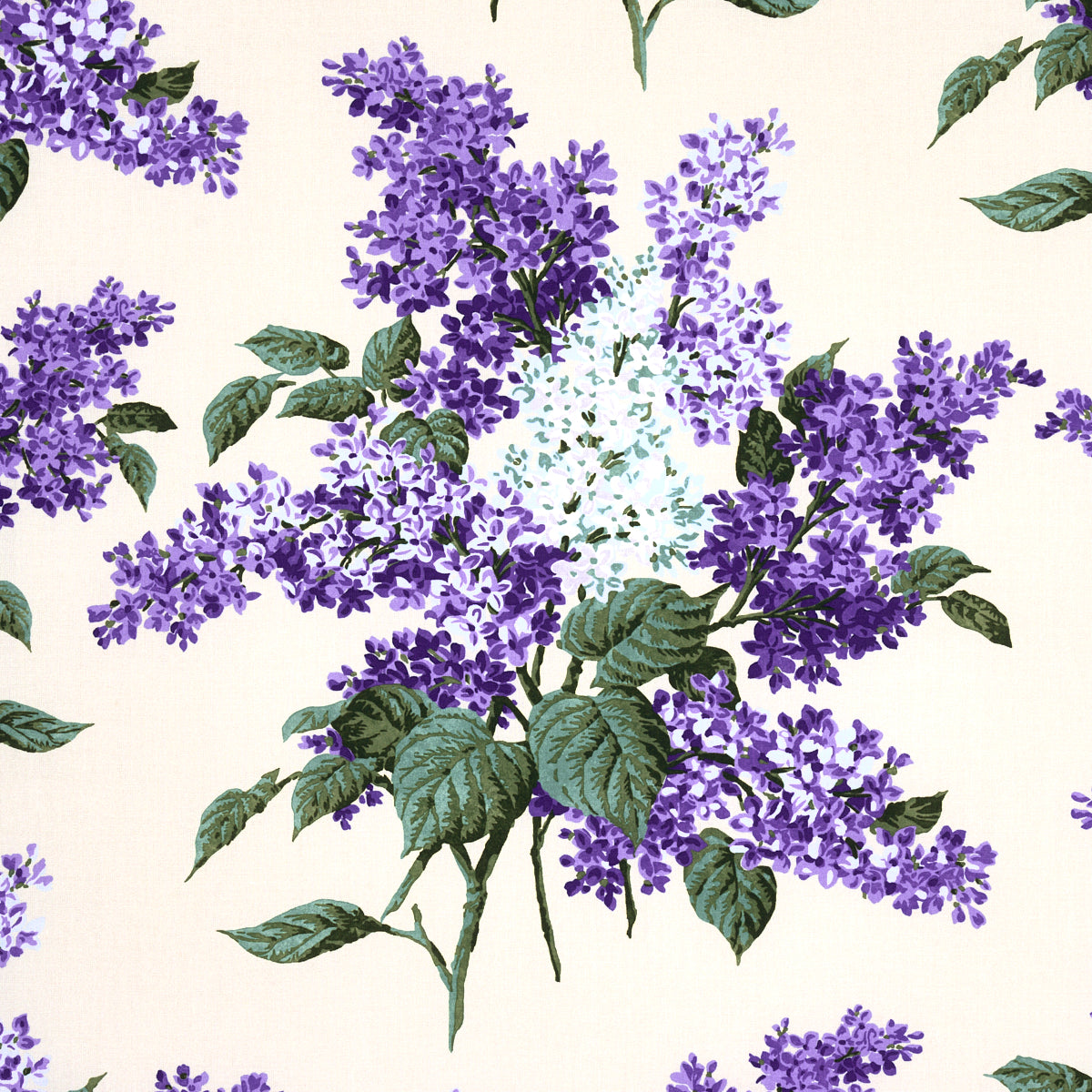 PROUST'S LILACS | PURPLE