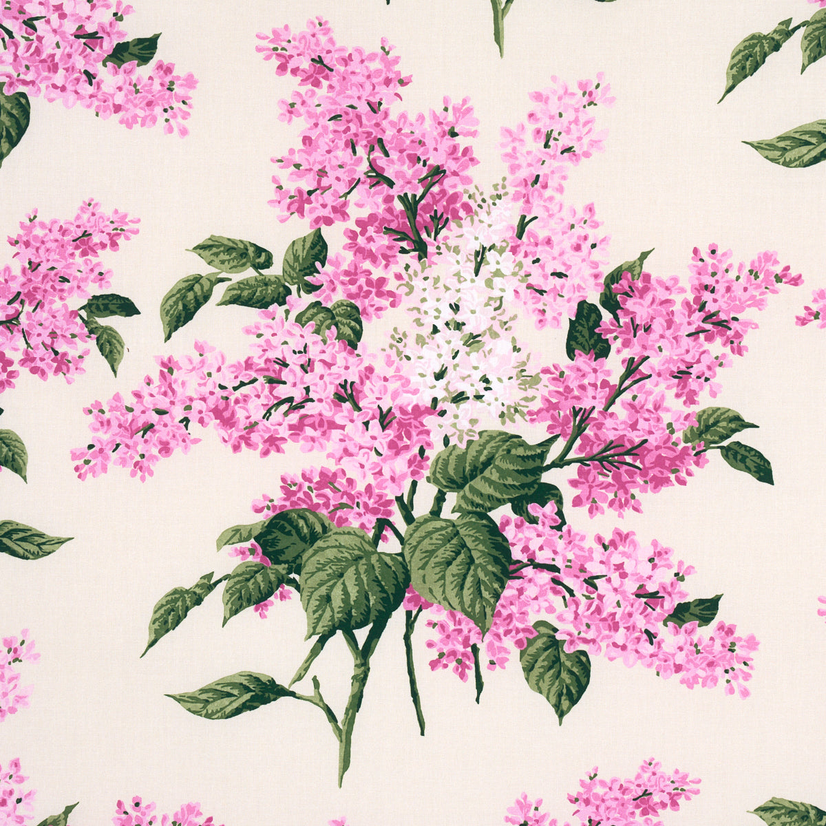 PROUST'S LILACS | PINK