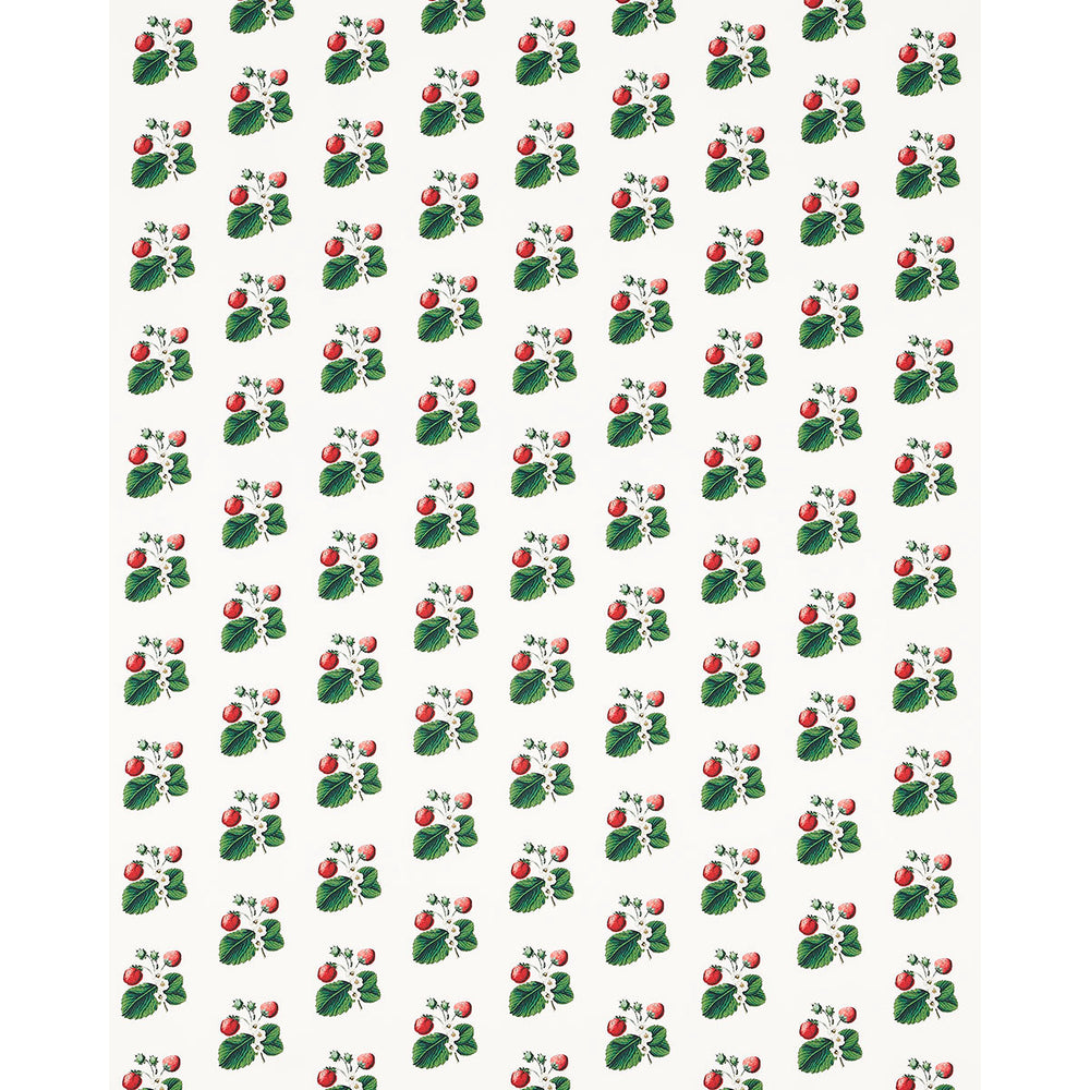 STRAWBERRY HILL | White