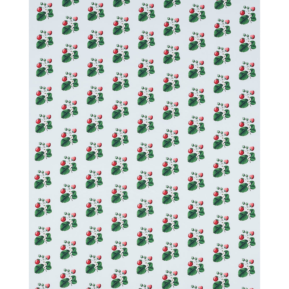 STRAWBERRY HILL | Sky